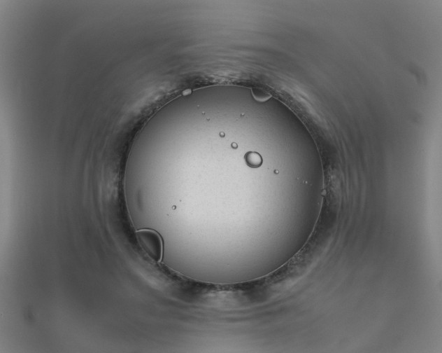 X0000112050499200908111353