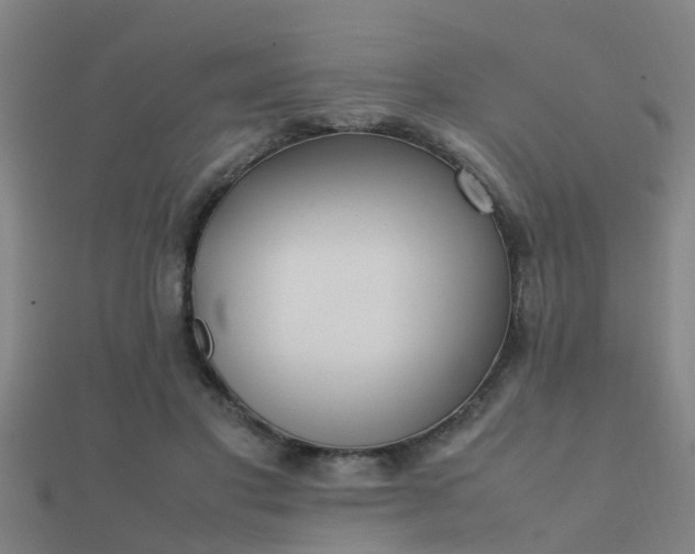 X0000112050501200908111353