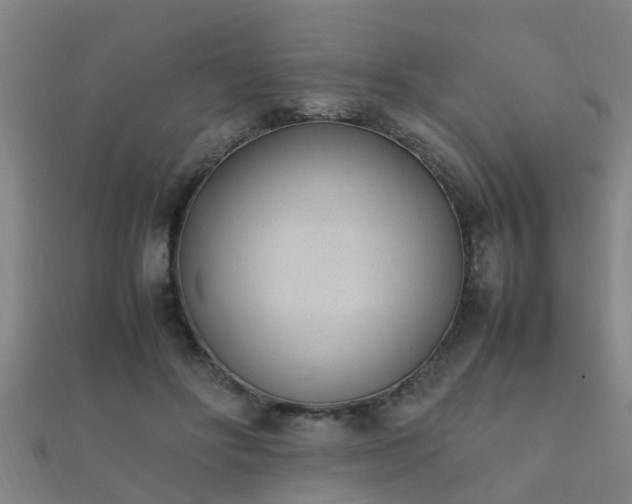 X0000112050502200908111353