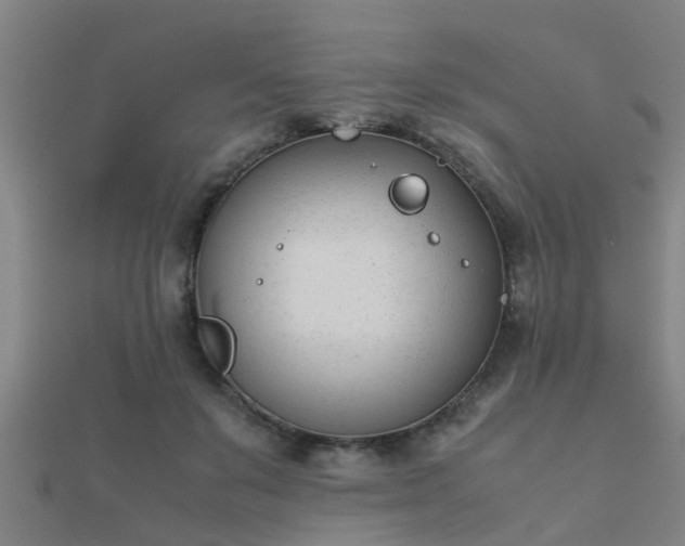 X0000112050503200908111353