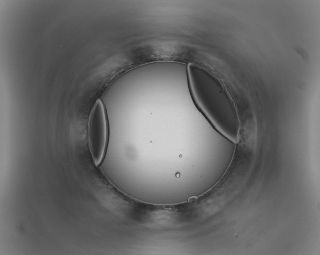 X0000112050505200908111353