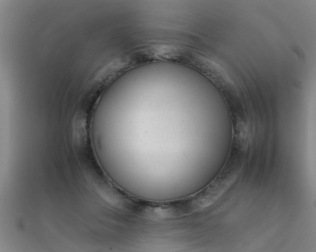 X0000112050506200908111353