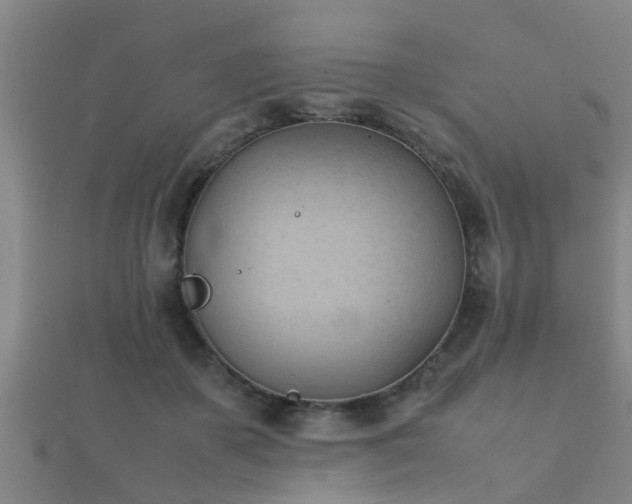 X0000112050507200908111353