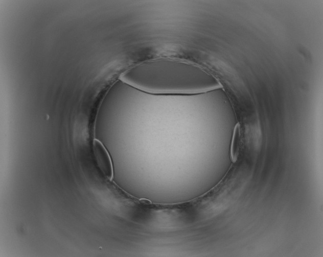 X0000112050508200908111353