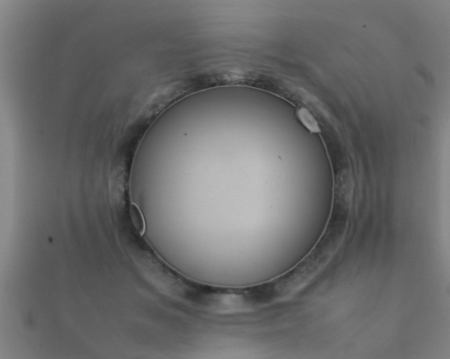 X0000112050509200908111353