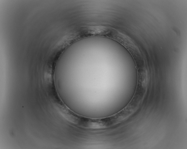 X0000112050510200908111353