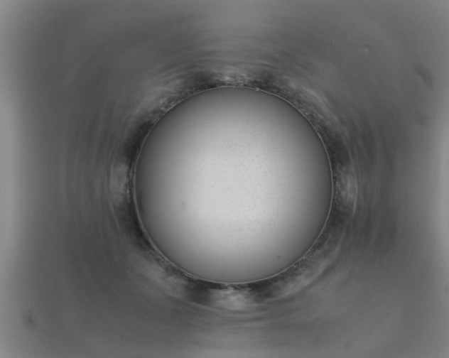 X0000112050511200908111353