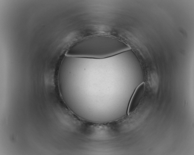 X0000112050512200908111353