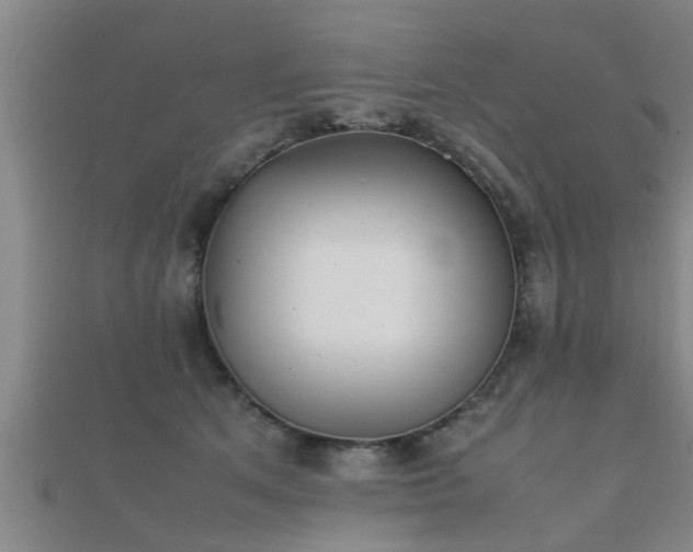 X0000112050513200908111353