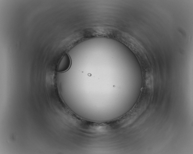 X0000112050514200908111353