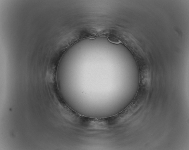 X0000112050515200908111353