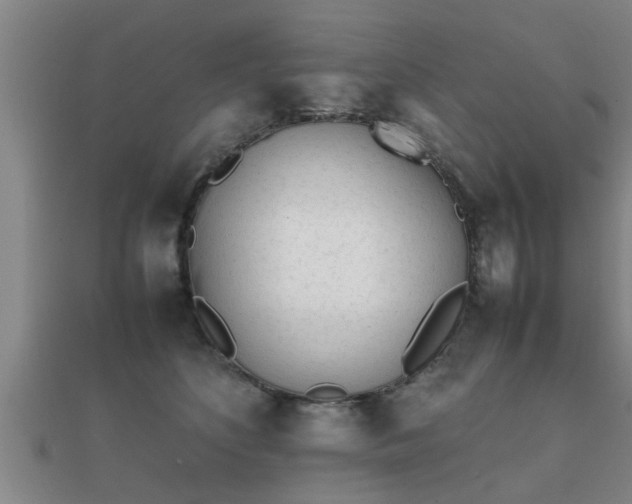 X0000112050516200908111353