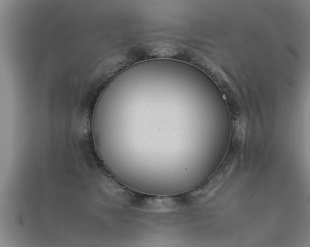 X0000112050517200908111353