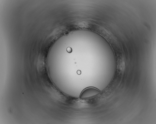 X0000112050518200908111353