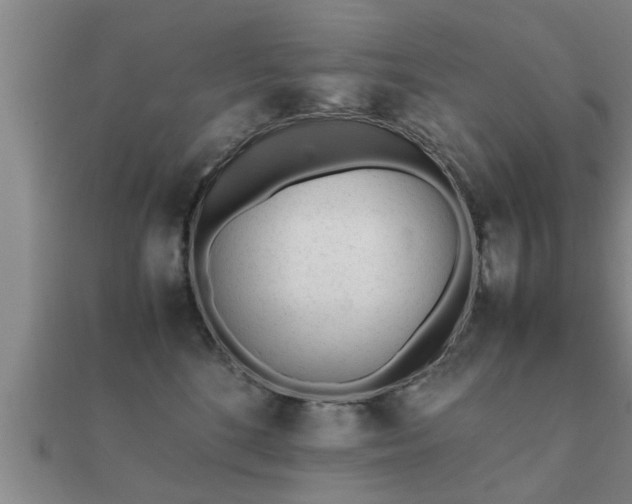 X0000112050520200908111353