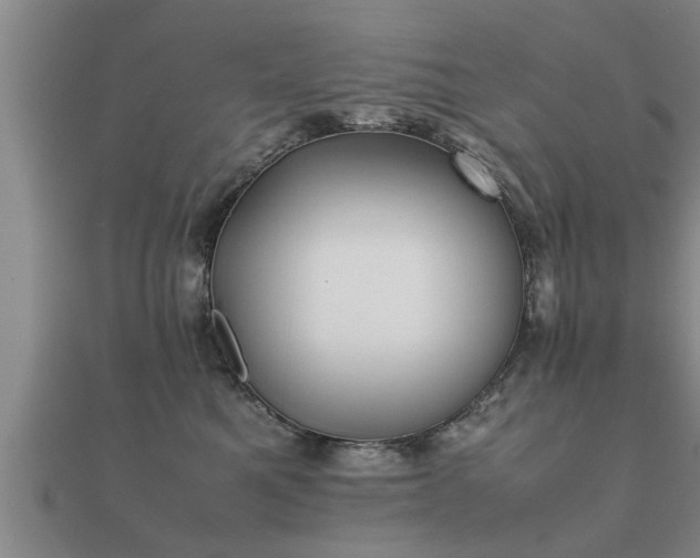 X0000112050521200908111353