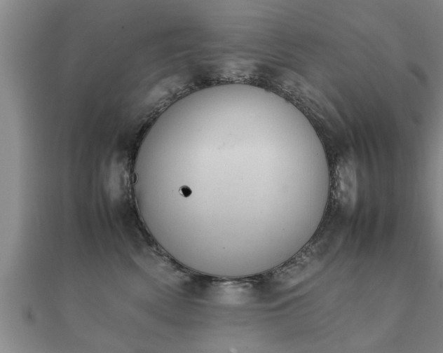 X0000112050522200908111353