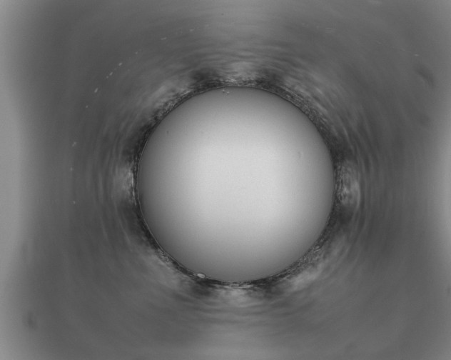 X0000112050523200908111353