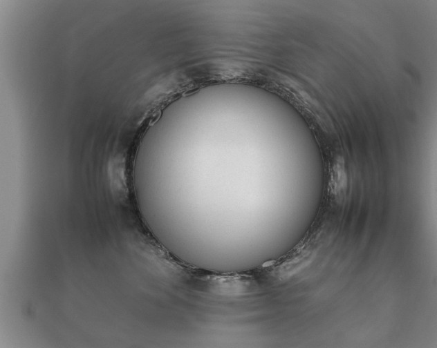 X0000112050524200908111353