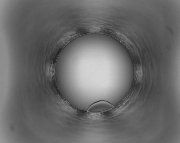 X0000112050525200908111353