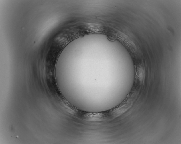 X0000112050526200908111353