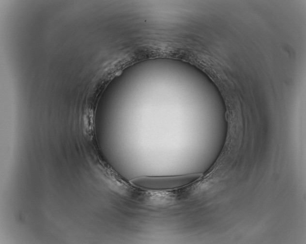 X0000112050528200908111353