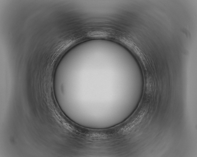 X0000112050529200908111352