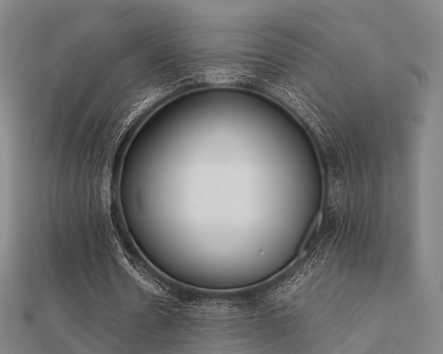 X0000112050530200908111352