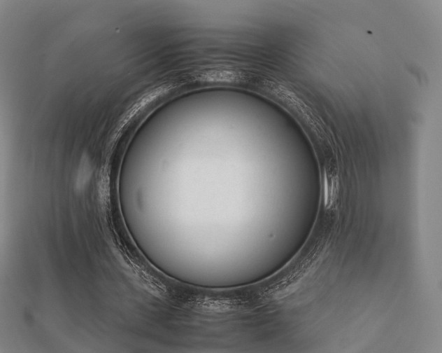 X0000112050531200908111352