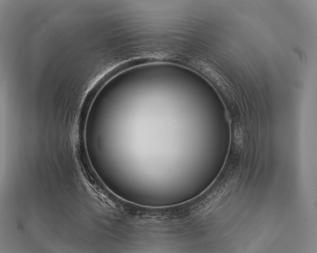 X0000112050532200908111352