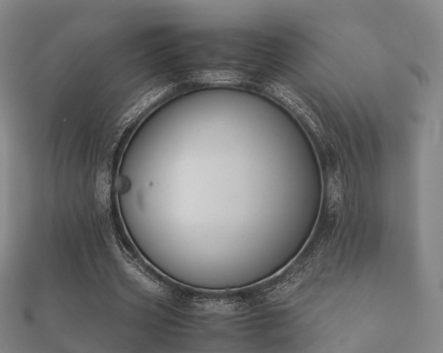 X0000112050533200908111352