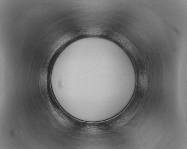 X0000112050534200908111352