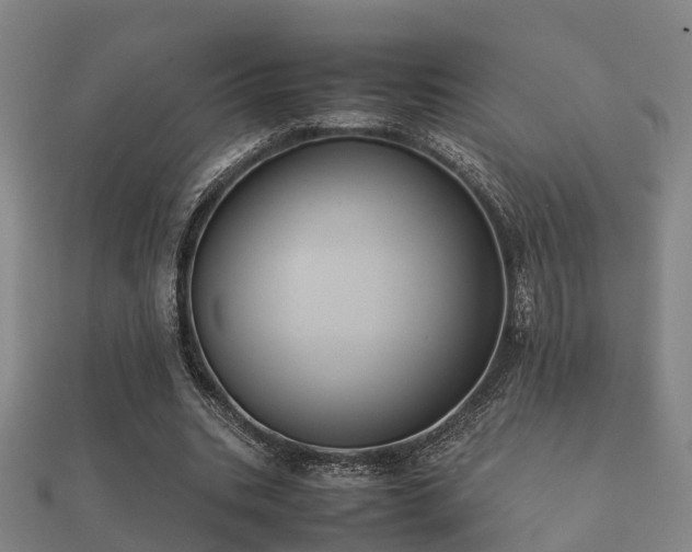 X0000112050535200908111352