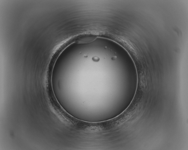 X0000112050536200908111352