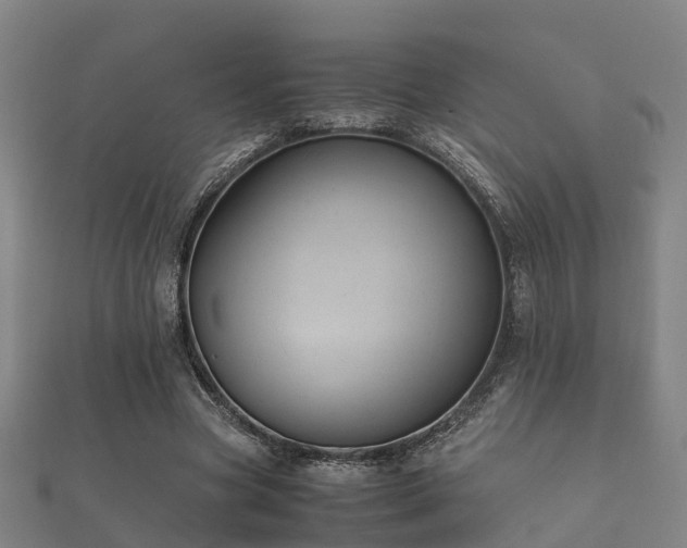 X0000112050537200908111352