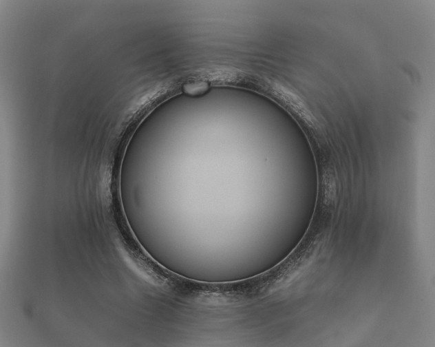 X0000112050538200908111352