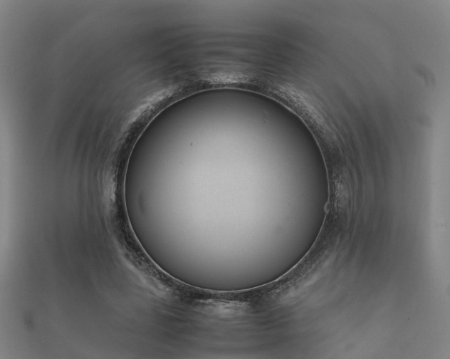 X0000112050539200908111352