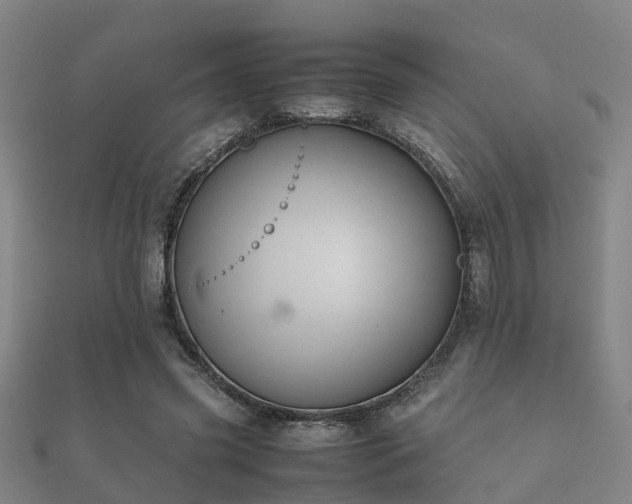 X0000112050541200908111352