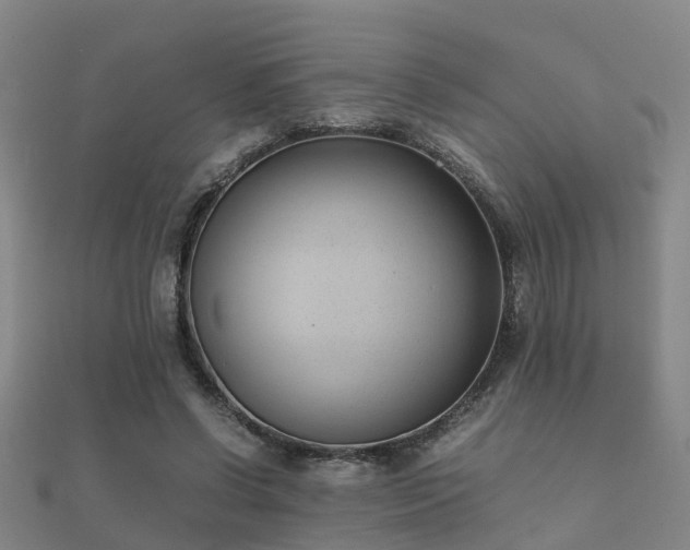 X0000112050542200908111352