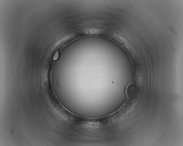 X0000112050543200908111352