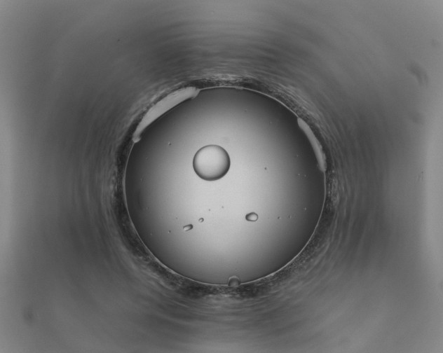 X0000112050544200908111352