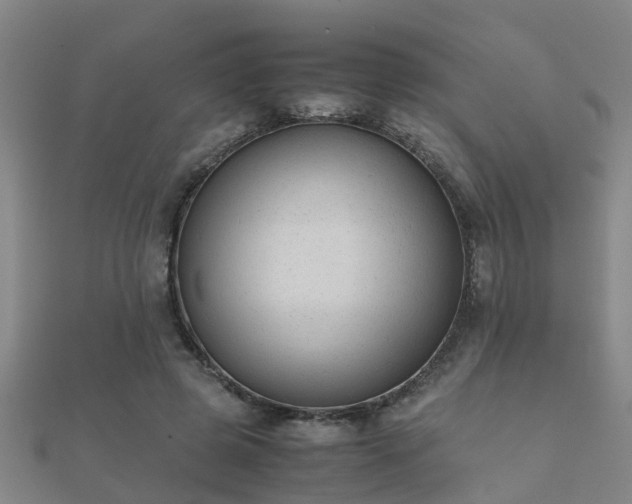 X0000112050545200908111352