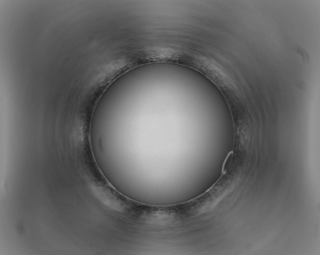 X0000112050546200908111352