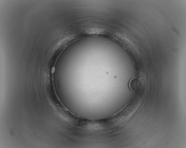 X0000112050547200908111352