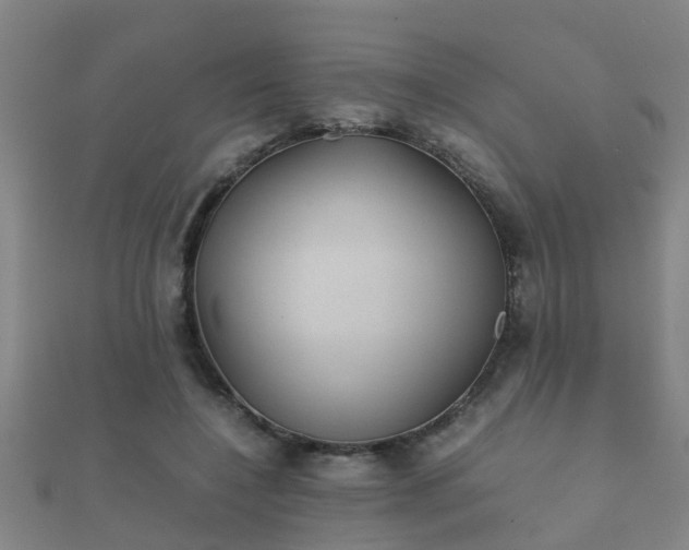 X0000112050548200908111352