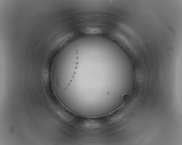 X0000112050549200908111352