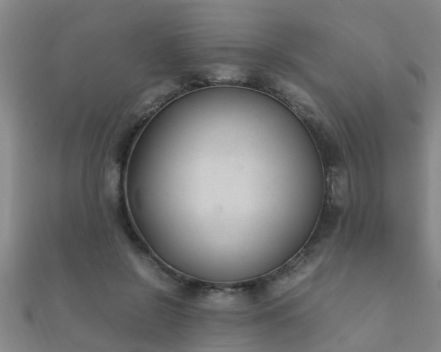 X0000112050550200908111352