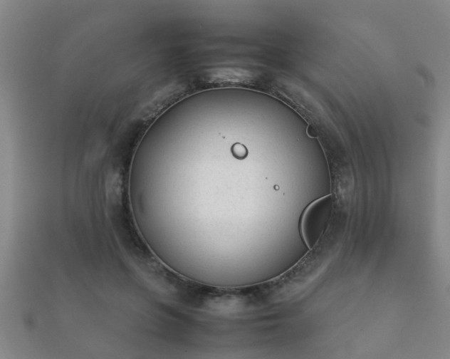 X0000112050551200908111352