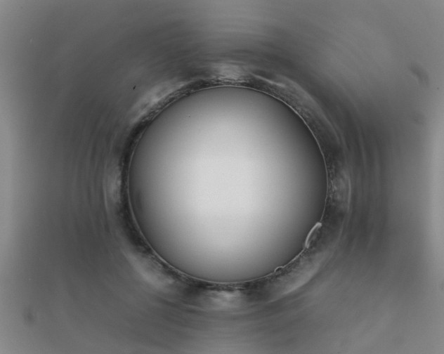 X0000112050552200908111352