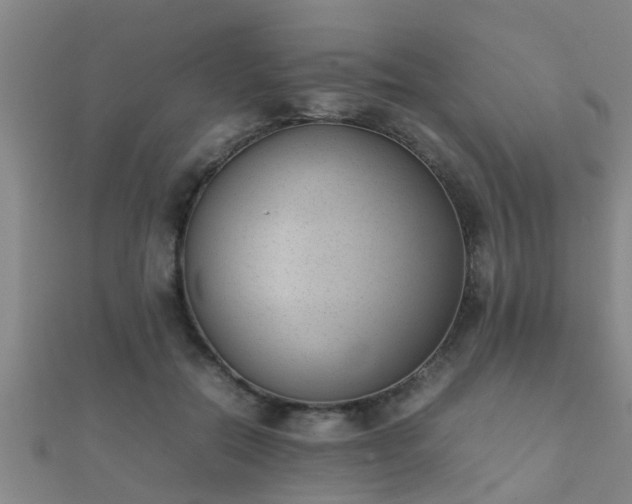 X0000112050554200908111352